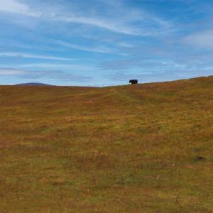 Photo #32 of TBD OLD B AND O RD, RAPHINE, VA 67.6 acres