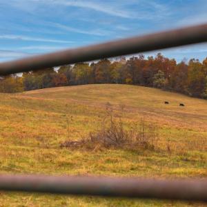Photo #21 of TBD OLD B AND O RD, RAPHINE, VA 67.6 acres