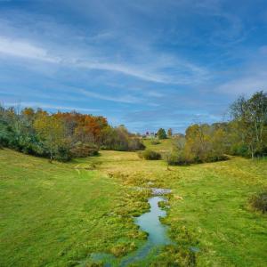Photo #6 of TBD OLD B AND O RD, RAPHINE, VA 67.6 acres