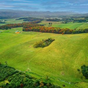 Photo #1 of TBD OLD B AND O RD, RAPHINE, VA 67.6 acres