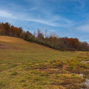 Photo #31 of TBD OLD B AND O RD, RAPHINE, VA 67.6 acres
