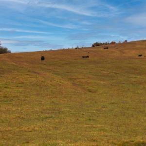 Photo #27 of TBD OLD B AND O RD, RAPHINE, VA 67.6 acres