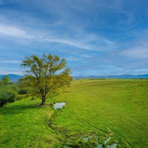 Photo #5 of TBD OLD B AND O RD, RAPHINE, VA 67.6 acres