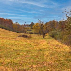 Photo #23 of TBD OLD B AND O RD, RAPHINE, VA 67.6 acres