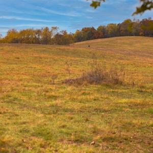 Photo #22 of TBD OLD B AND O RD, RAPHINE, VA 67.6 acres