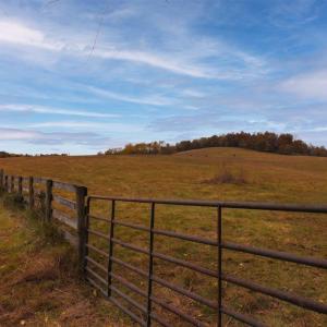 Photo #16 of TBD OLD B AND O RD, RAPHINE, VA 67.6 acres