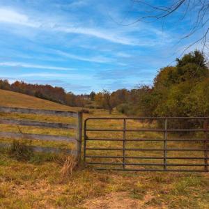 Photo #18 of TBD OLD B AND O RD, RAPHINE, VA 67.6 acres