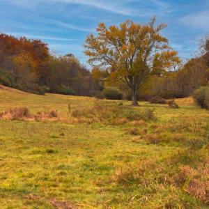 Photo #29 of TBD OLD B AND O RD, RAPHINE, VA 67.6 acres