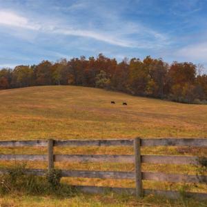 Photo #20 of TBD OLD B AND O RD, RAPHINE, VA 67.6 acres