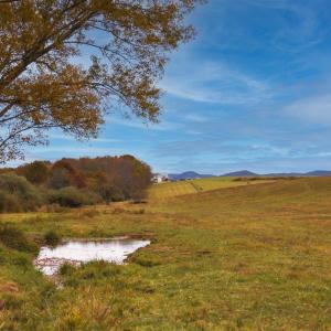 Photo #30 of TBD OLD B AND O RD, RAPHINE, VA 67.6 acres
