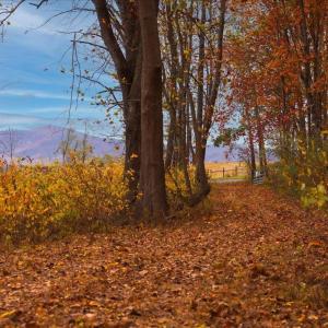 Photo #33 of TBD OLD B AND O RD, RAPHINE, VA 67.6 acres