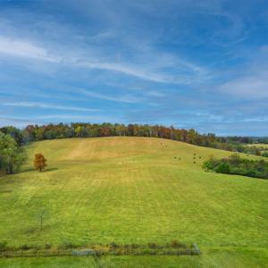 Photo #10 of TBD OLD B AND O RD, RAPHINE, VA 67.6 acres