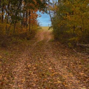 Photo #13 of TBD OLD B AND O RD, RAPHINE, VA 67.6 acres