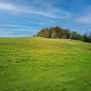 Photo #11 of TBD OLD B AND O RD, RAPHINE, VA 67.6 acres