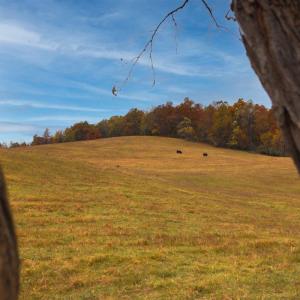 Photo #25 of TBD OLD B AND O RD, RAPHINE, VA 67.6 acres