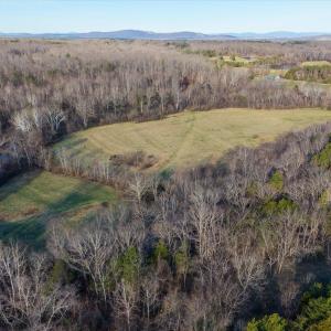 Photo #11 of 271 GRASS CT, KESWICK, VA 123.2 acres