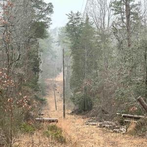 Photo #4 of ELLY RD, ARODA, VA 10.0 acres