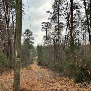 Running along edge of lot. Property is to the left.