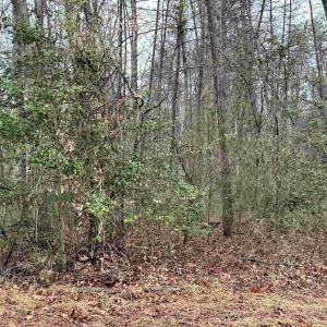 Photo #10 of ELLY RD, ARODA, VA 10.0 acres