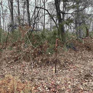 Photo #5 of ELLY RD, ARODA, VA 10.0 acres