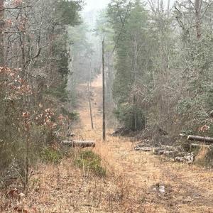 Photo #3 of ELLY RD, ARODA, VA 10.0 acres