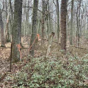 Photo #2 of ELLY RD, ARODA, VA 10.0 acres