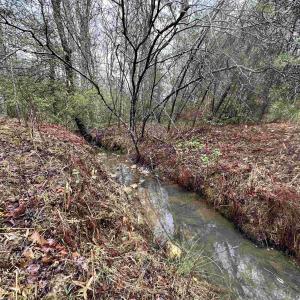 Photo #16 of ELLY RD, ARODA, VA 10.0 acres