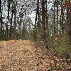 Looking toward starting corner uphill. Lot is to the right.