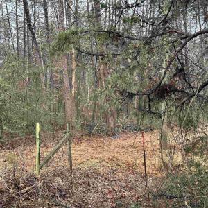 Property starts here.