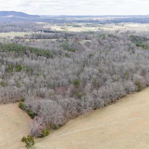 Photo #12 of ELLY RD, ARODA, VA 10.0 acres