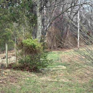 Photo #10 of ELLY RD, ARODA, VA 10.0 acres