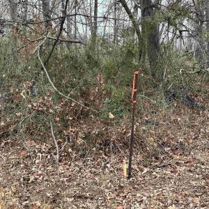 Photo #8 of ELLY RD, ARODA, VA 10.0 acres