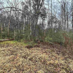 Photo #16 of ELLY RD, ARODA, VA 10.0 acres