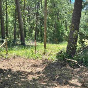 Property starts here.
