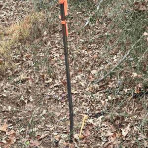 Photo #9 of ELLY RD, ARODA, VA 10.0 acres