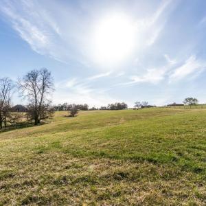 Photo #18 of 130 LACEY SPRING RD, ROCKINGHAM, VA 13.4 acres