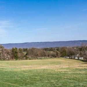 Photo #13 of 130 LACEY SPRING RD, ROCKINGHAM, VA 13.4 acres