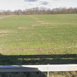 Photo #4 of NEW MARKET RD, TIMBERVILLE, VA 17.8 acres