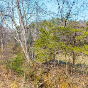 Photo #4 of PUPPY CREEK RD, AMHERST, VA 24.3 acres