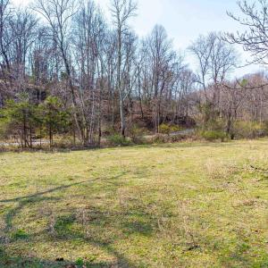 Photo #10 of PUPPY CREEK RD, AMHERST, VA 24.3 acres
