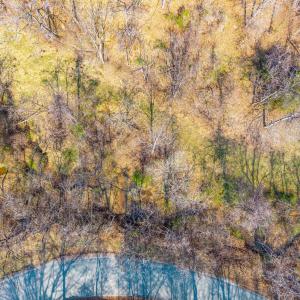 Photo #12 of PUPPY CREEK RD, AMHERST, VA 24.3 acres