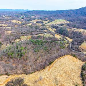 Photo #20 of PUPPY CREEK RD, AMHERST, VA 24.3 acres