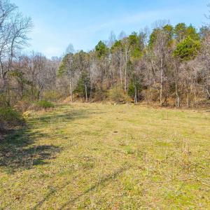 Photo #11 of PUPPY CREEK RD, AMHERST, VA 24.3 acres
