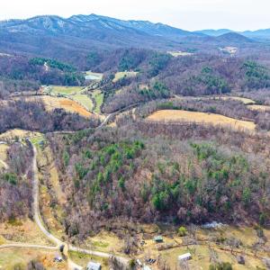 Photo #28 of PUPPY CREEK RD, AMHERST, VA 24.3 acres