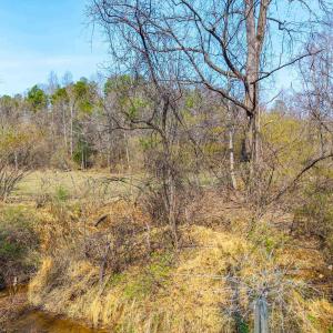 Photo #2 of PUPPY CREEK RD, AMHERST, VA 24.3 acres