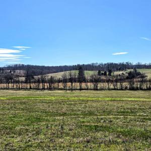 Photo #3 of Lot 16 FREDERICKSBURG RD, RUCKERSVILLE, VA 4.7 acres