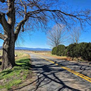 Photo #1 of Lot 17 FREDERICKSBURG RD, RUCKERSVILLE, VA 4.2 acres