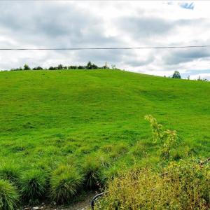 Photo #9 of TBD KNUPP RD, TIMBERVILLE, VA 6.1 acres