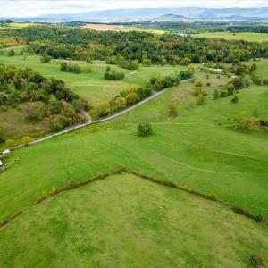 Photo #5 of TBD KNUPP RD, TIMBERVILLE, VA 6.1 acres