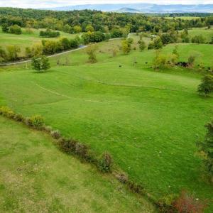 Photo #4 of TBD KNUPP RD, TIMBERVILLE, VA 6.1 acres